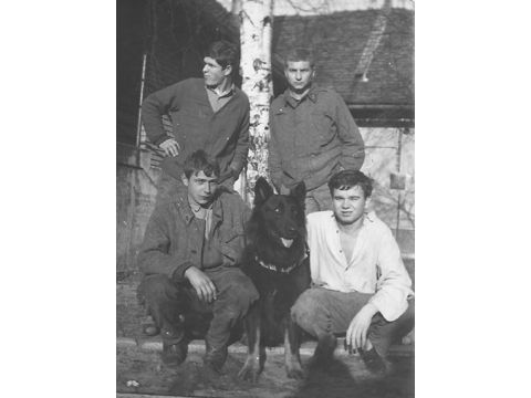 Foto 10